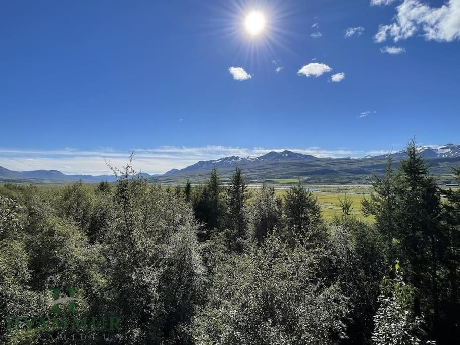 Forest Hideaway Near Акурейри Екстериор снимка